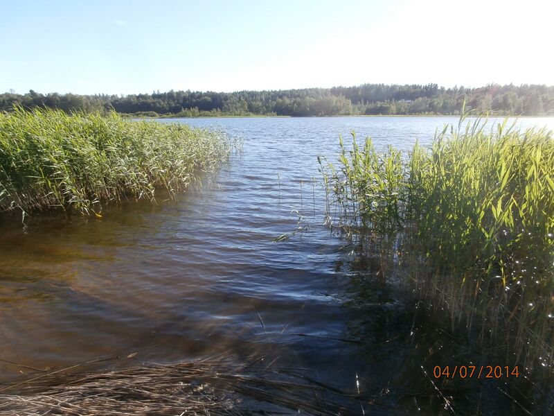 Tiedosto:Nupurinjarvi itaranta.JPG