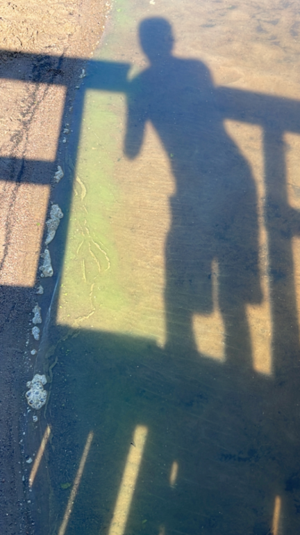 Pitkäjärvi (81.055.1.010)-Laaksolahden uimaranta-ObsALG-202206270900-62b95a1b633ef.png