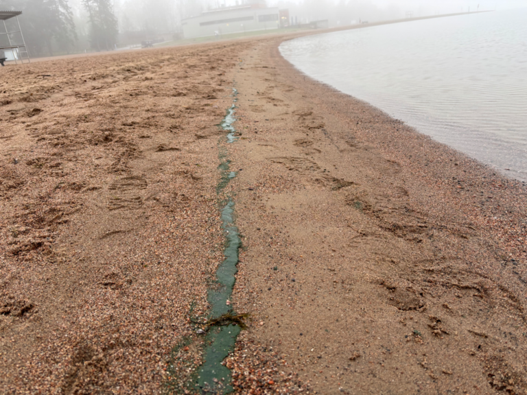 Seurasaari-Hietaniemen uimaranta-ObsIMG-202511071133-690dbd9d742a6.png