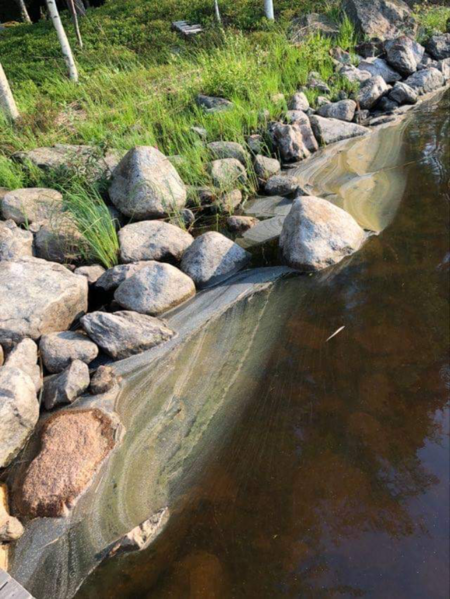 Tiedosto:Vaskivesi - Visuvesi (35.412.1.001)-Syrjänniemi-ObsALG-202107110710-60eb063cd1cc3.png