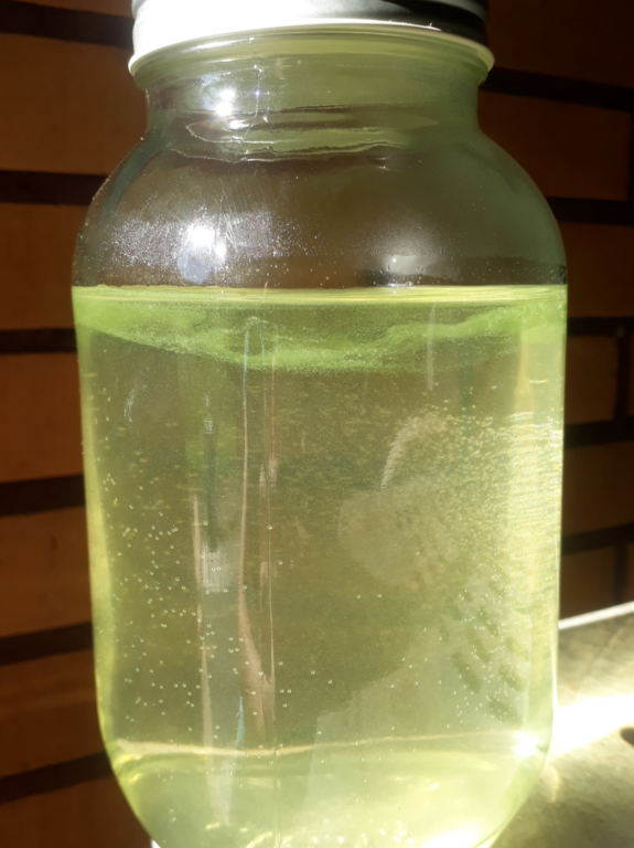 Hiidenvesi (23.031.1.001)-Rysätarha-ObsALG-202107041237-60e2d361d57a3.png