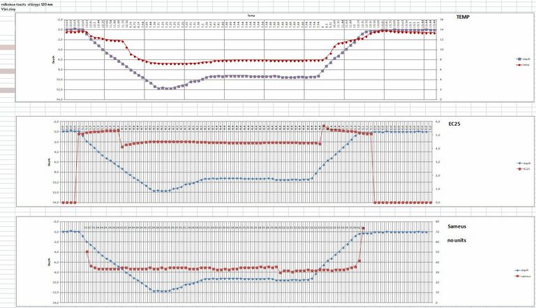 KiviJ 03 15 06 2017.JPG