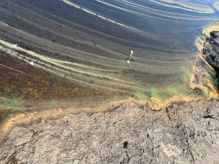 Kyrkösjärven tekojärvi (42.071.2.001)-Havaintopaikka 2-ObsIMG-202507241231-6881fe2d02715.png