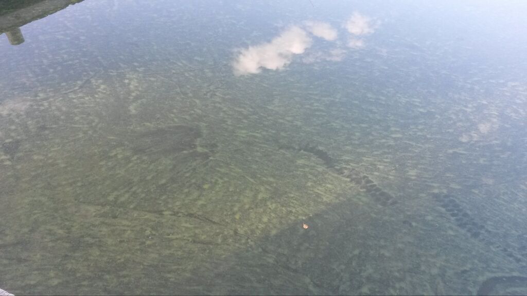 Levätilanne 10.07.2018.jpg