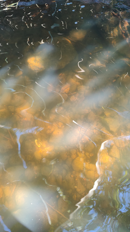 Lohjanjärvi (23.021.1.001)-Havaintopaikka 5-ObsALG-202406251405-667aa4ac050d8.png