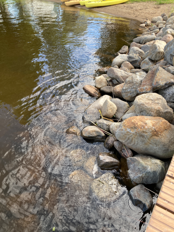 Päijänne (yhd.)-Valtakunnallinen sinileväseuranta (Majutvesi)-ObsALG-202208030927-62ea15cd84628.png