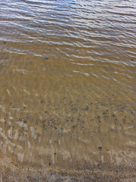 Tiedosto:Pitkäjärvi (04.152.1.002)-Valtakunnallinen sinileväseuranta (Pitkäjärven uimaranta)-ObsIMG-202306071014-64803ba156cbd.png