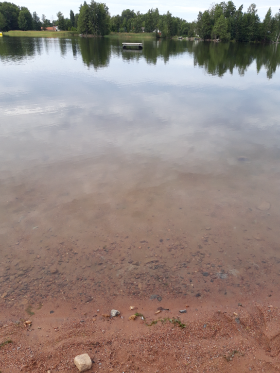 Pyhäjärvi (34.031.1.001)-Valtakunnallinen sinileväseuranta (Katismaan uimaranta)-ObsALG-202208231442-6304bd8c386b6.png