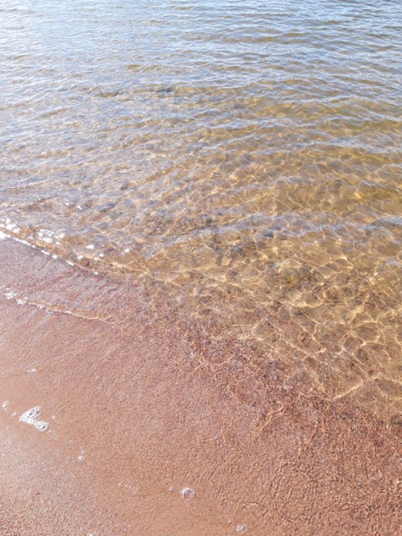 Pyhäjärvi (34.031.1.001)-Valtakunnallinen sinileväseuranta (Katismaan uimaranta)-ObsIMG-202107201508-60f6bd5168068.png