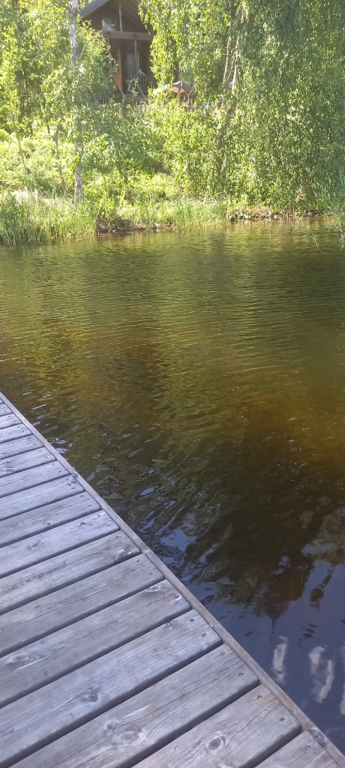 Saimaa (04.112.1.001)-Rotarien sinileväseuranta (Pulkkaselkä, Hietalahti)-ObsIMG-202407151529-6695168270eaf.png