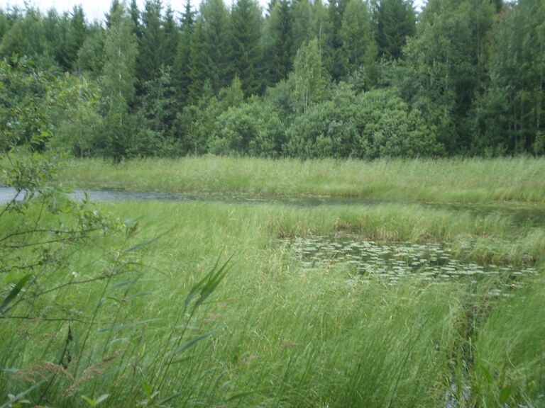 Tästä vesiyhteys Puulaan.JPG