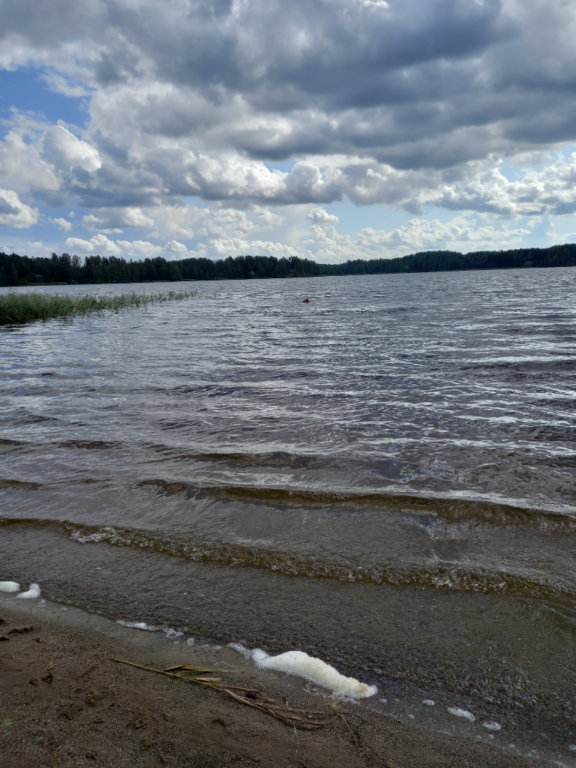 Ukonvesi (Saimaa) (04.151.1.001)-Valtakunnallinen sinileväseuranta (Launialan uimaranta)-ObsIMG-202108101442-611269f18a834.png