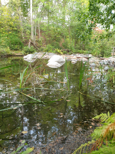 Tiedosto:Urpolanjoen valuma-alue (04.152)-Vanha pato-ObsIMG-202309100913-64fd5e7a6e936.png