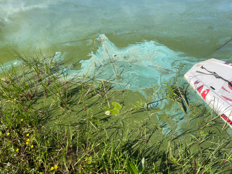 Vesijärvi (14.241.1.001)-Metsätie 105 16730 Kutajärvi-ObsIMG-202206211710-62b1f38c1c78e.png