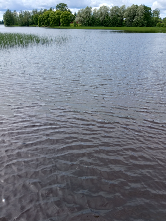 Alajärvi (47.043.1.001)-Valtakunnallinen sinileväseuranta (Hoiskon uimapaikka)-ObsIMG-202507081414-1751973349459.png