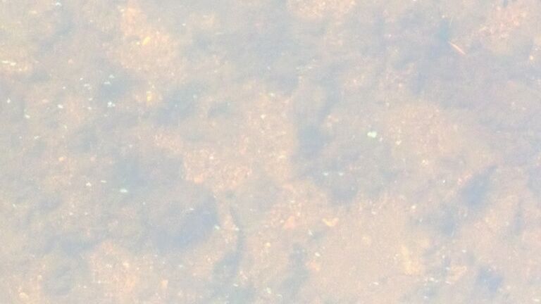 Soukkalahti, WP 20200915 005.jpg