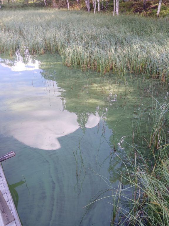 Konsajärvi (65.592.1.017)-Hevoskummun Upseeriparantola-ObsALG-202507291228-1753781402252.png