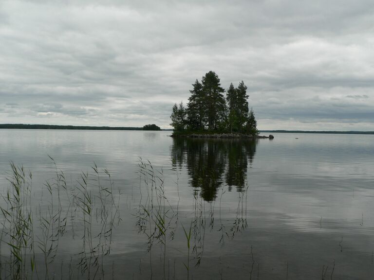 Palanut Horkka 6.8.2008 .jpg