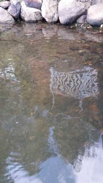 Tiedosto:20170730 105421.jpg