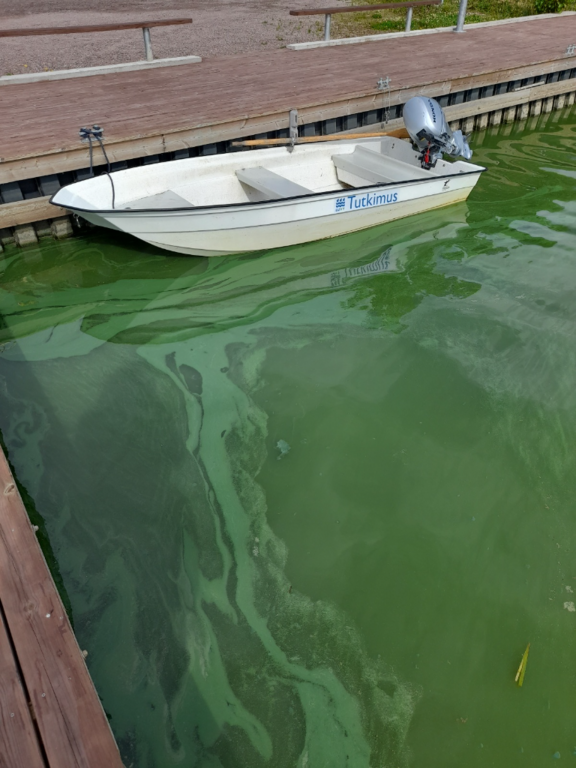 Hiidenvesi (23.031.1.001)-Kirkonkylän veneranta-ObsALG-202307271711-64c3f713d282b.png