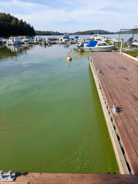 Tiedosto:Hiidenvesi (23.031.1.001)-Kirkonkylän veneranta-ObsIMG-202307301211-64c629564c1ef.png