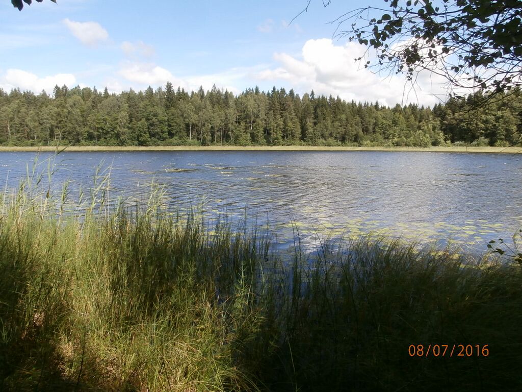 Kopparträsk eteläranta.JPG