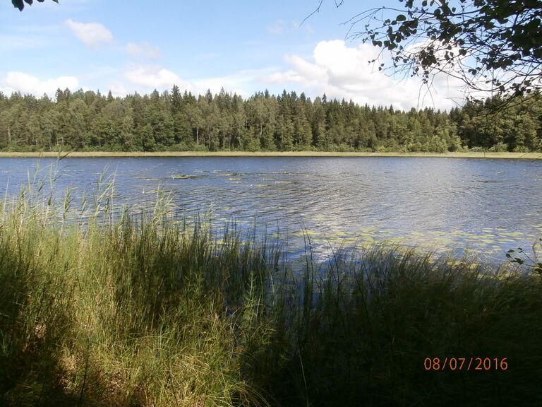 Kopparträsk eteläranta.JPG