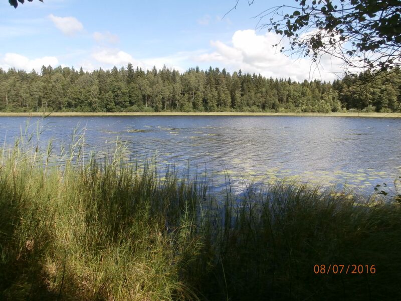 Tiedosto:Kopparträsk eteläranta.JPG