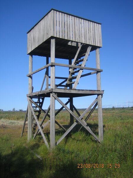 Tiedosto:Leton lintutorni.JPG