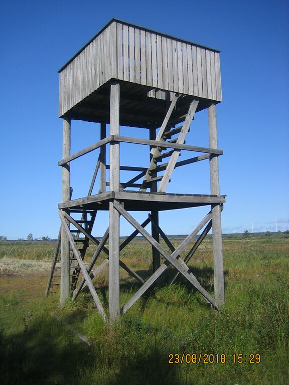 Leton lintutorni.JPG