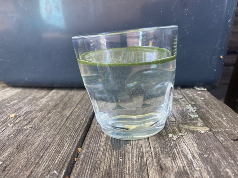 Puujärvi (23.023.1.002)-Lehtkorvenlahti-ObsALG-202206261400-62b8422658ea8.png