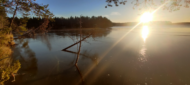 Välijärvi (74.021.1.051)-Luikonsaari-ObsICE-202310210913-65336c7776867.png