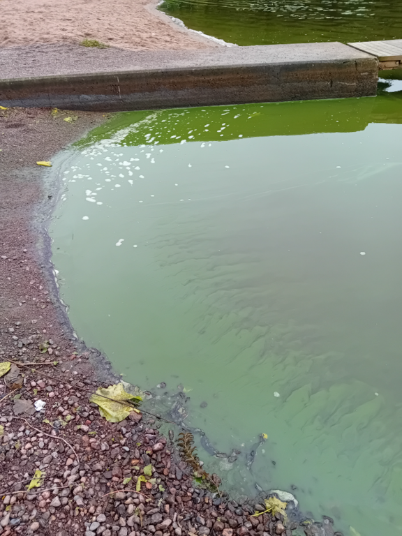 Hiidenvesi (23.031.1.001)-Kirkkojärvi Vihti kk-ObsALG-202508310928-1756668610707.png