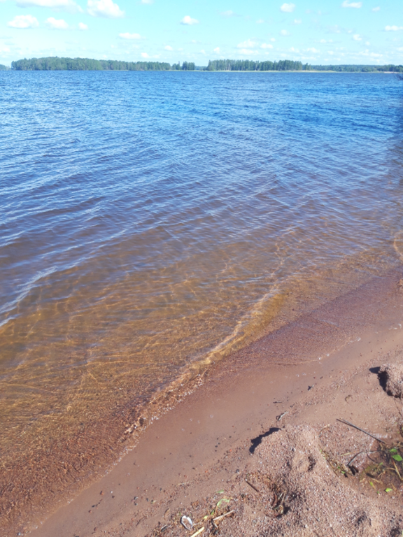 Köyliönjärvi (34.054.1.001)-Valtakunnallinen sinileväseuranta (Yttilän Otta)-ObsALG-202406041048-665ec6fc6a7a4.png