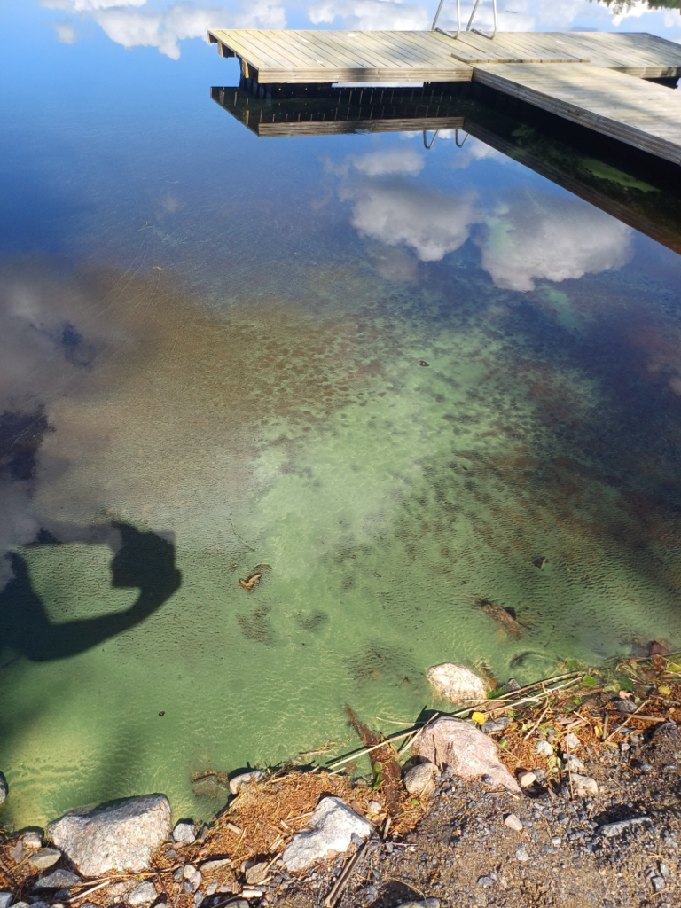 Kallavesi (14.972.1.001)-Havaintopaikka 1-ObsIMG-202506281115-685fa59891c5a.png