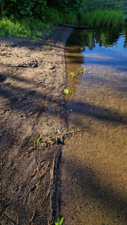 Katumajärvi (35.236.1.001)-Mäskälän ranta-ObsALG-202407100815-668e3b9c072ed.png