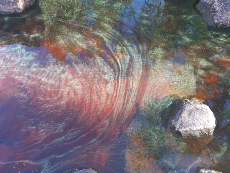 Koitere (04.941.1.001)-Louhirannantie 3 a-ObsIMG-202307101638-64ac0aa09dfc1.png