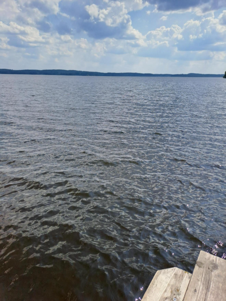 Tiedosto:Pyhäjärvi (35.211.1.001)-Valtakunnallinen sinileväseuranta (Halkoniemi)-ObsIMG-202306211652-649300b0d1ea0.png