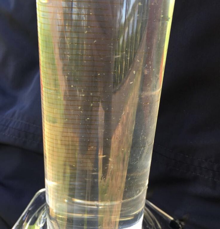 Rauman edusta-Valtakunnallinen sinileväseuranta (Otanlahti)-ObsALG-201806260939-71.jpeg