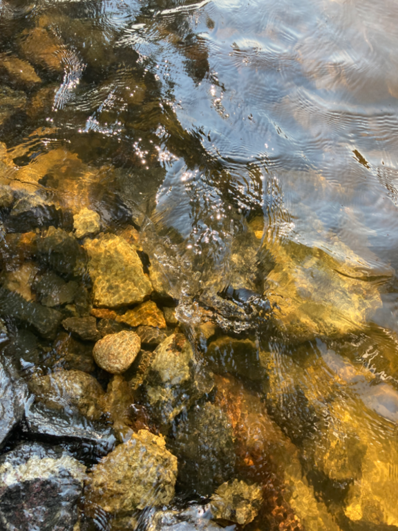 Ukonvesi (Saimaa) (04.151.1.001)-Koivukummunpolku-ObsALG-202206281059-62bab50fc640f.png