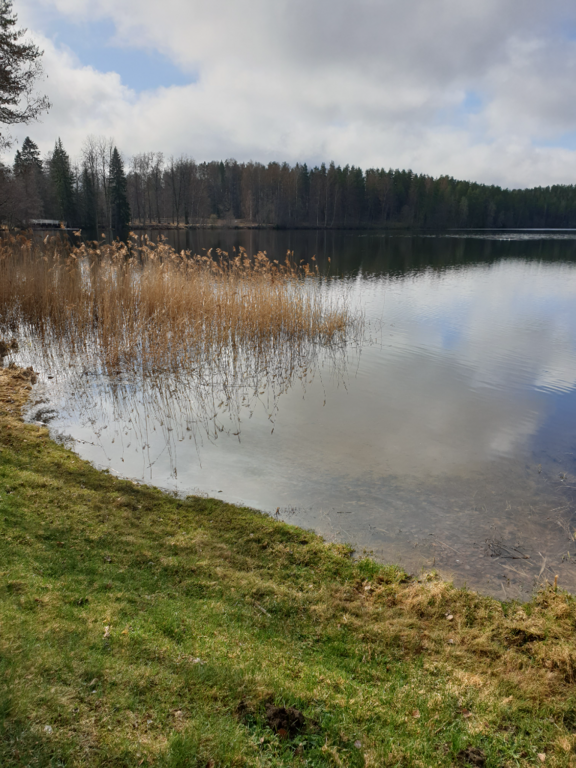 Urpolanjoen valuma-alue (04.152)-Vanha Uimaranta-ObsIMG-202304281034-644b76b8413f5.png