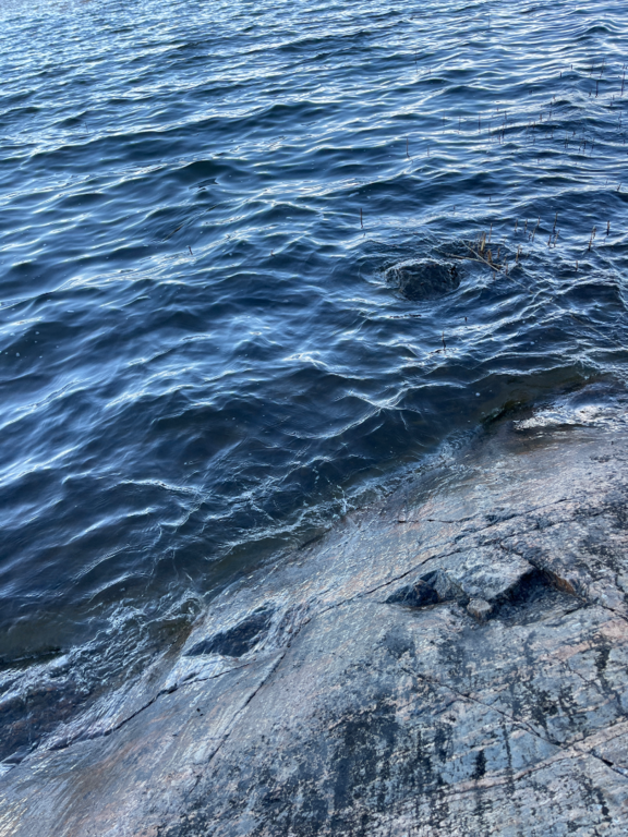 Dragsvik-Rotarien sinileväseuranta (Högholmen)-ObsIMG-202504021009-67ece317edec2.png