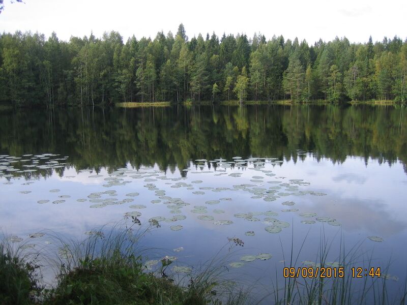 Tiedosto:Myllylammi 1.JPG