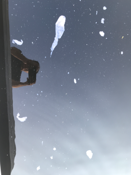 Tiedosto:Myllylampi (10.001.1.003)-Myllylammen uimaranta-ObsIMG-202409051639-66d9b5c23c5bf.png