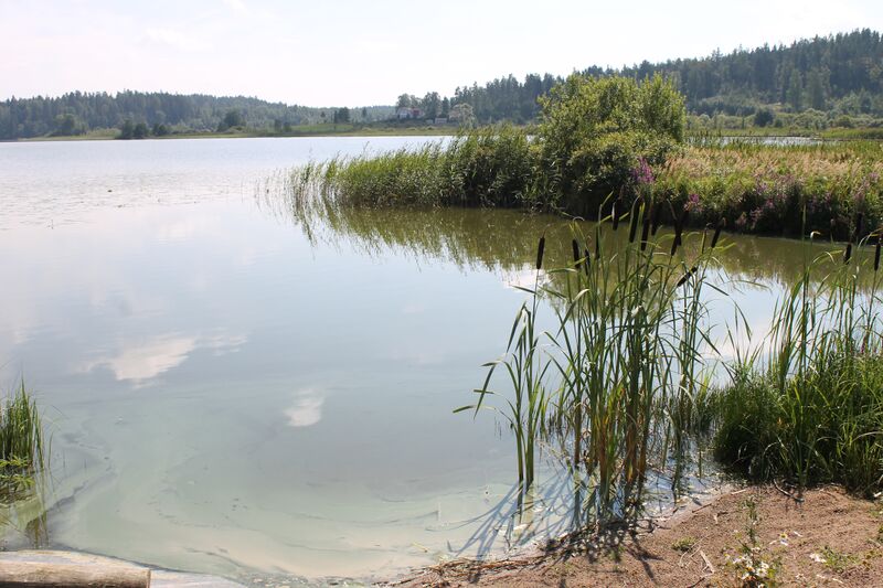 Tiedosto:Näkymä Petäjärventieltä etelään.JPG