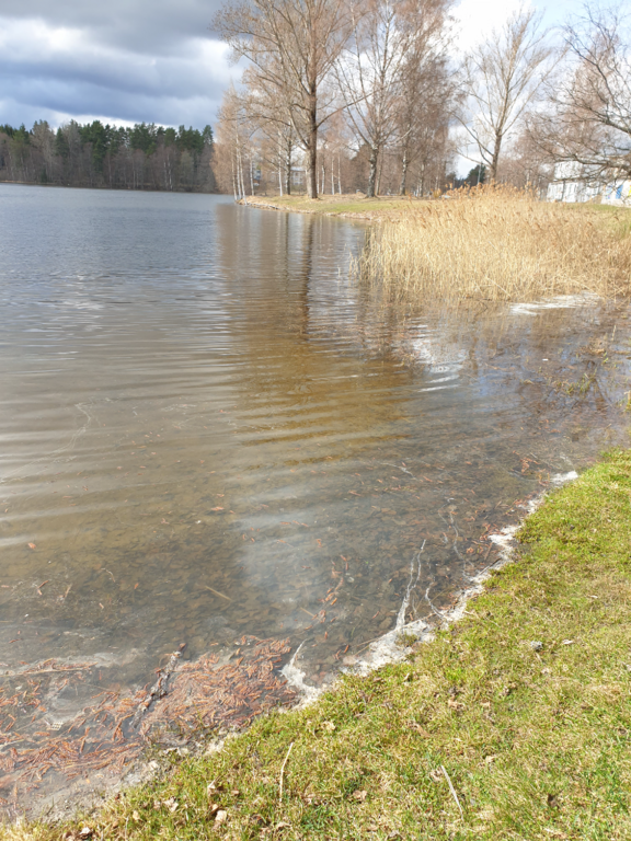 Urpolanlampi (04.152.1.001)-Urpolanlammen uimapaikka-ObsIMG-202304291205-644cddc1eef91.png