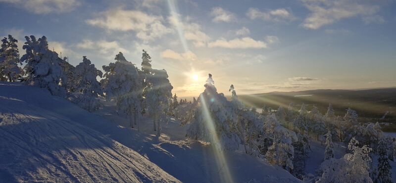 Tiedosto:20250218 154445.jpg