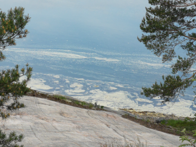 Iso- ja Pikku-Nauvon vesialue-Hökberg-ObsIMG-202106080920-60bf0caecc3df.png