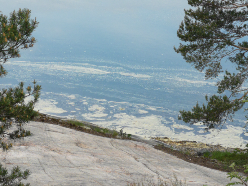 Tiedosto:Iso- ja Pikku-Nauvon vesialue-Hökberg-ObsIMG-202106080920-60bf0caecc3df.png