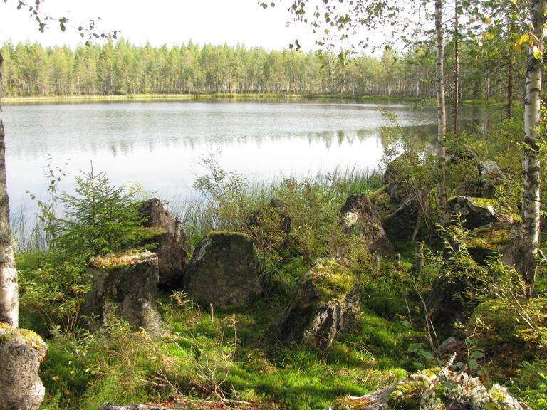 KuikkalampiKuhmo.JPG